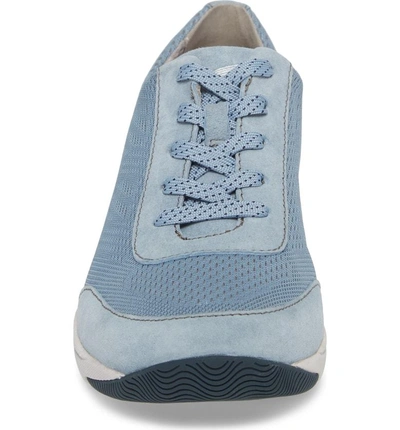 Shop Dansko Hayes Sneaker In Light Blue Suede