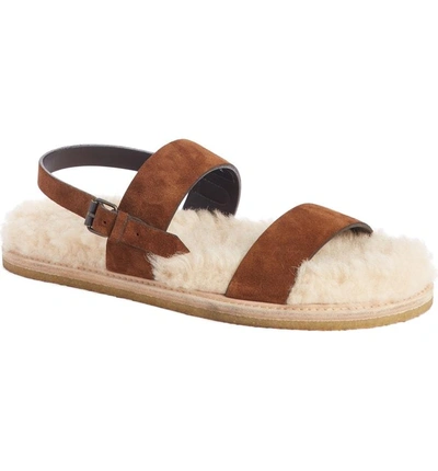 Shop Saint Laurent Nu Pieds Genuine Shearling Lining Slingback Sandal In Caramel Suede