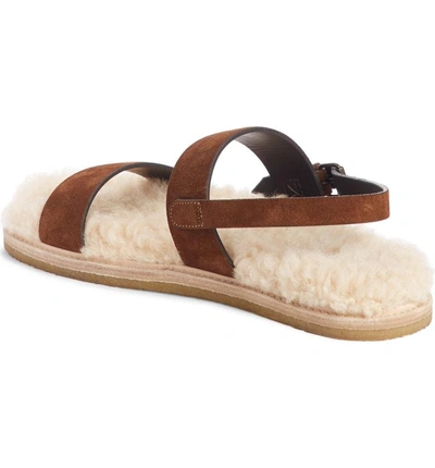 Shop Saint Laurent Nu Pieds Genuine Shearling Lining Slingback Sandal In Caramel Suede