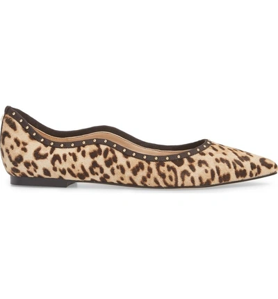 Shop Sam Edelman Rivera Genuine Calf Hair Flat In Leopard Calf Hair