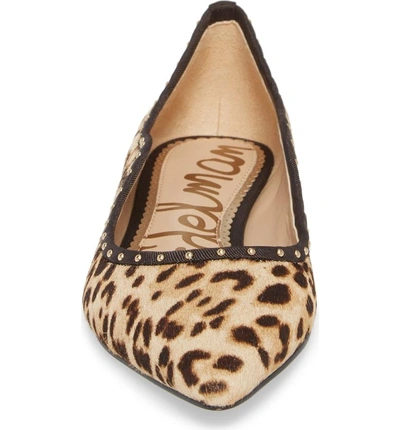 Shop Sam Edelman Rivera Genuine Calf Hair Flat In Leopard Calf Hair