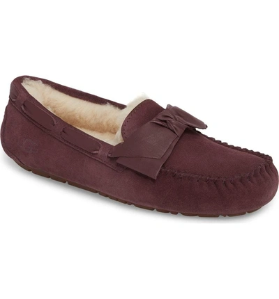 Shop Ugg Dakota Bow Slipper In Port Suede