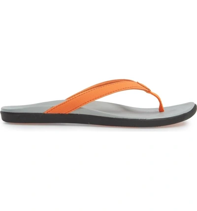 Shop Olukai 'ho Opio' Flip Flop In Papaya Faux Leather