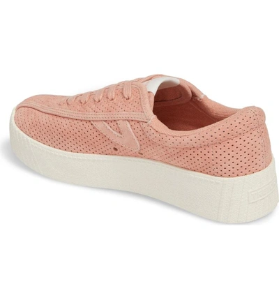 Shop Tretorn Bold Perforated Platform Sneaker In Blush Nubuck