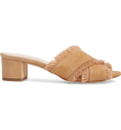 Shop Patricia Green Kate Slide Sandal In Camel Suede