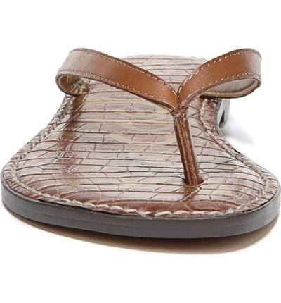 Shop Sam Edelman Gracie Sandal In Luggage Leather