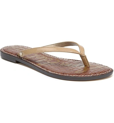 Sam edelman cheap gracie flip flop