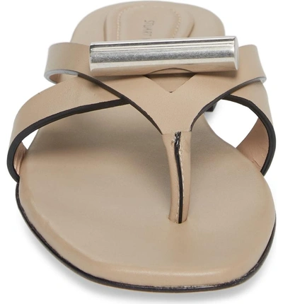 Shop Stuart Weitzman Arro Thong Sandal In Brownstone Dexter