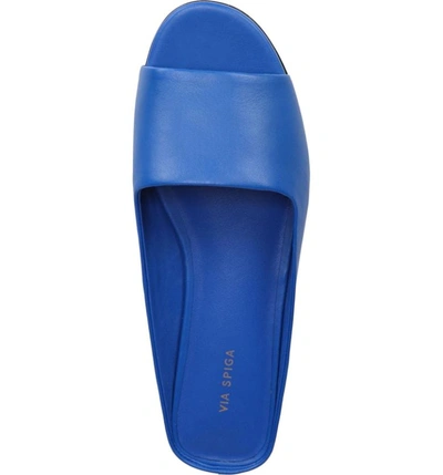 Shop Via Spiga Hana Slide Sandal In Lapis Leather