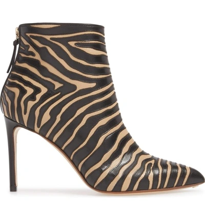 Shop Francesco Russo Pointy Toe Bootie In Sand/ Black