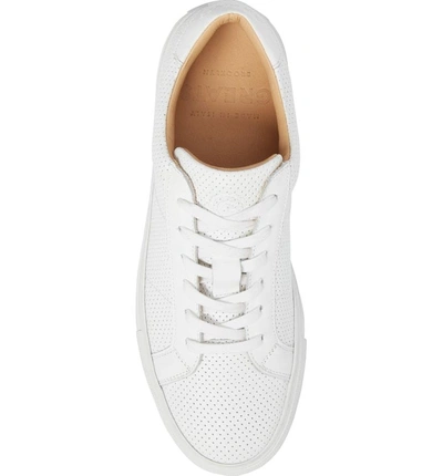 Shop Greats Royale Low Top Sneaker In White Perforated