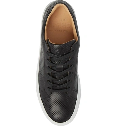 Shop Greats Royale Low Top Sneaker In Black Perforated