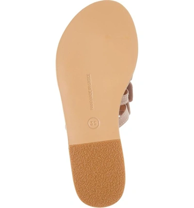 Shop Ancient Greek Sandals Hara Toe Loop Slide Sandal In Natural/ Lotus