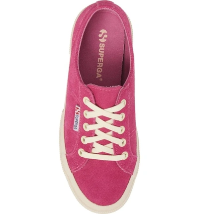 Shop Superga 'cotu' Sneaker In Raspberry Suede