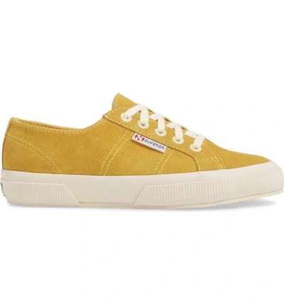 Shop Superga 'cotu' Sneaker In Mustard/ Mustard