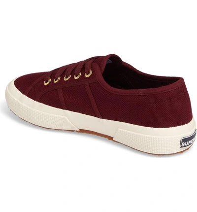 Shop Superga 'cotu' Sneaker In Bordeaux