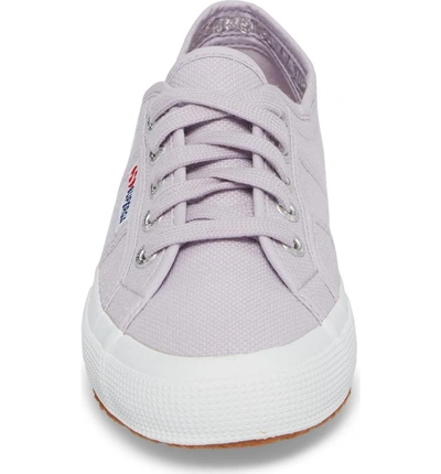 Shop Superga 'cotu' Sneaker In Lavender