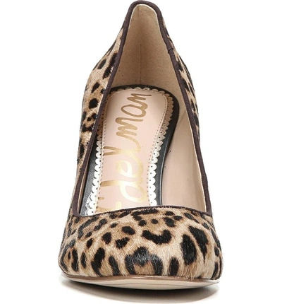 Shop Sam Edelman Stillson Pump In Leopard Print Calf Hair