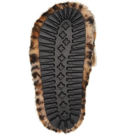 Shop Dolce & Gabbana Leopard Slipper