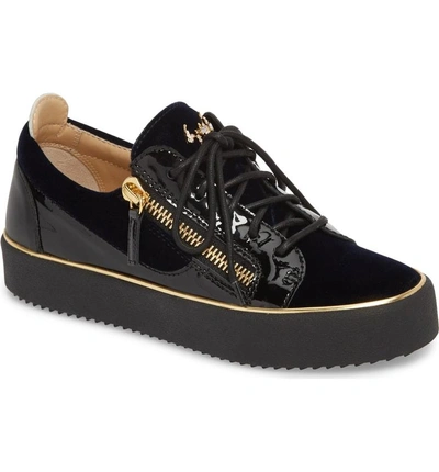 Shop Giuseppe Zanotti Low Top Sneaker In Navy