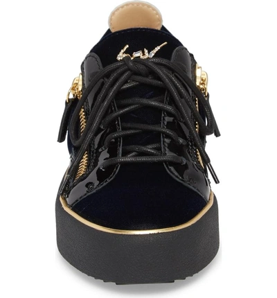 Shop Giuseppe Zanotti Low Top Sneaker In Navy