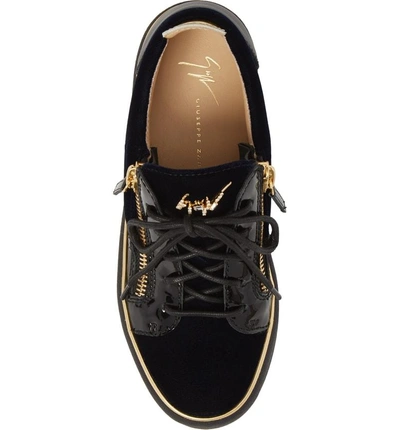 Shop Giuseppe Zanotti Low Top Sneaker In Navy