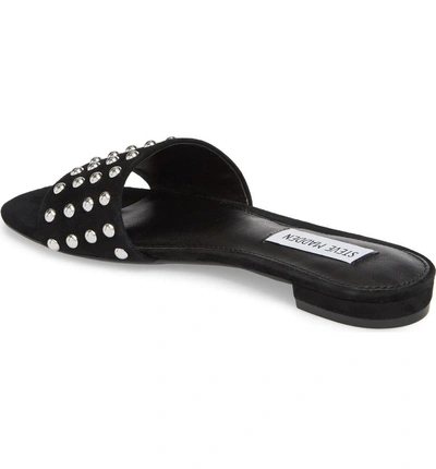 Shop Steve Madden Viv Studded Slide Sandal In Black Suede