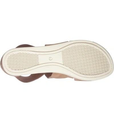 Shop Eileen Fisher Sport Platform Sandal In Wheat