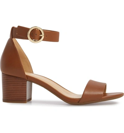 Shop Michael Michael Kors Lena Block Heel Sandal In Luggage