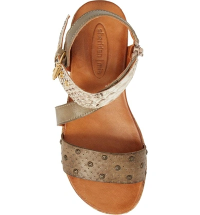 Shop Sheridan Mia Gaga Sandal In Taupe Leather