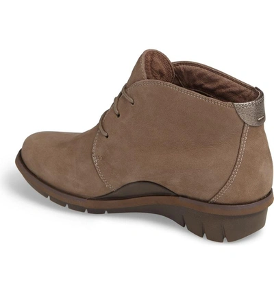 Shop Dansko Joy Bootie In Walnut Nubuck