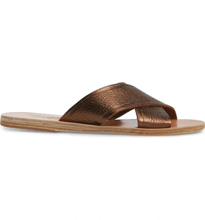 Shop Ancient Greek Sandals Thais Slide Sandal In Bronze/ Coco