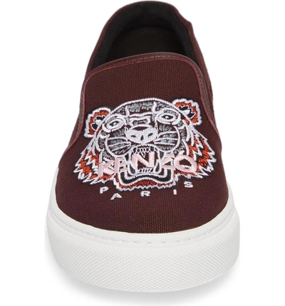 Shop Kenzo K Skate Embroidered Slip-on Sneaker In Bordeaux