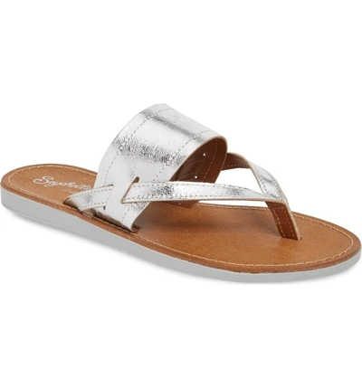 Shop Seychelles Mosaic Thong Sandal In Silver Leather