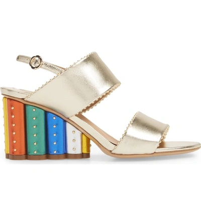 Shop Ferragamo Gavi Rainbow Sandal In Silver