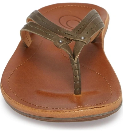 Shop Olukai 'u'i' Thong Sandal In Dusty Olive/ Sahara Leather