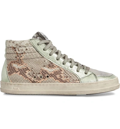 Shop P448 Skate High Top Sneaker In Jacobs Print