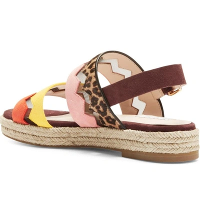 Shop Cole Haan Emilia Genuine Calf Hair Espadrille Sandal In Ocelot/ Multi Calf Hair