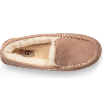 Shop Ugg Ansley Water Resistant Slipper In Fawn Leather