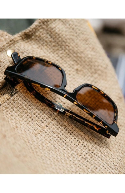 Shop Shwood 'govy 2' 52mm Polarized Sunglasses - Darkspeckle/ Elm/ Brown
