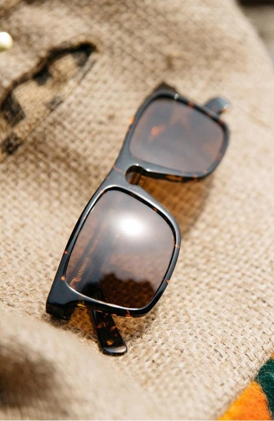 Shop Shwood 'govy 2' 52mm Polarized Sunglasses - Darkspeckle/ Elm/ Brown