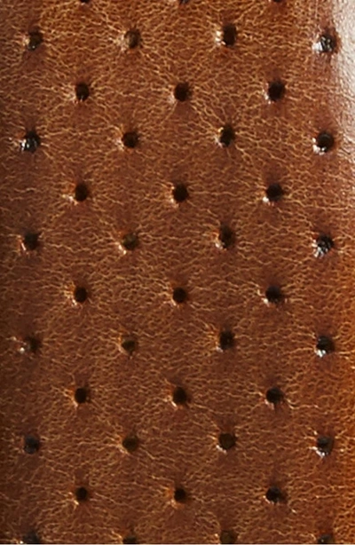 Shop Mezlan Alfa Perforated Leather Belt In Honey