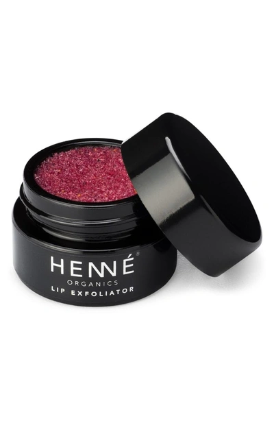 Shop Henne Organics Lip Exfoliator In Nordic Berries