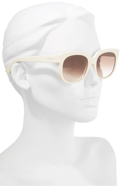 Shop Gucci 56mm Gradient Cat Eye Sunglasses - Ivory/ Brown/ Pink