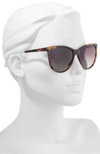 Shop Polaroid Basic 57mm Polarized Sunglasses - Dark Havana