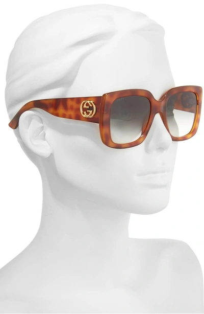 Shop Gucci 53mm Square Sunglasses - Havana/ Green