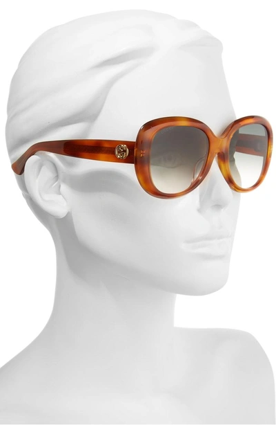 Shop Gucci 55mm Rectangular Sunglasses In Havana/ Green