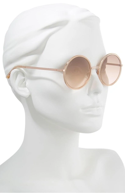 Shop Web 52mm Sunglasses - Pink/ Brown