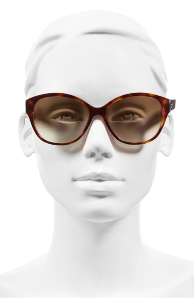 Shop Kate Spade 'kiersten' 56mm Cat Eye Sunglasses - Purple Tortoise