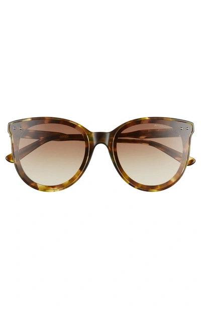 Shop Bottega Veneta 61mm Cat Eye Sunglasses - Green Havana